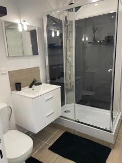 Appart 4 personnes 1 ch Laval - Laval - 2