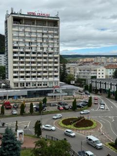 Oana Guest House - Piatra Neamţ - 6