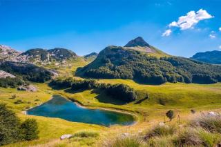 Domacinstvo Paprica Tjentiste - Foča - 1