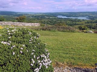 Majestic Cavan Burren, 4 Bedroom, Dream Holiday Home - - 9