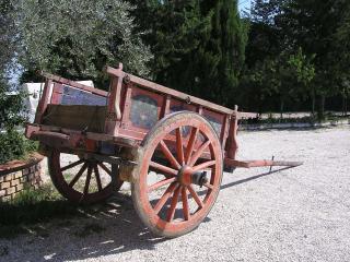 Agriturismo Il Vecchio Carro - Campli - 5