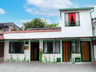 Casa Tulipán - - 0