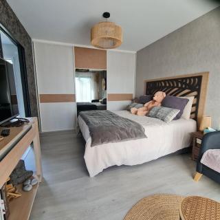 Joli Appartement de plain-pied - Pornic - 6