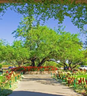 The Lodge at Ventana Canyon - Tucson - 6