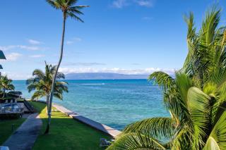 Luxury Oceanfront Turtles Sunsets - indigomaui - - Kahana - 0