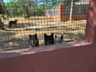 L'hôtel du Bastier - 8