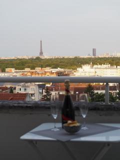 Eiffel tower view appartment - Suresnes - 3