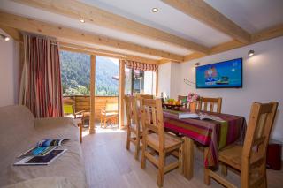 Résidence Grand Roc - Campanules 306 - Happy Rentals - Chamonix-Mont-Blanc - 0