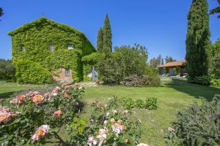 Casale Teresa - Happy Rentals - Tarquinia - 6