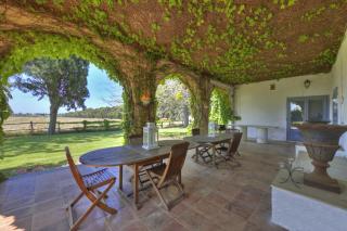 Casale Teresa - Happy Rentals - Tarquinia - 3