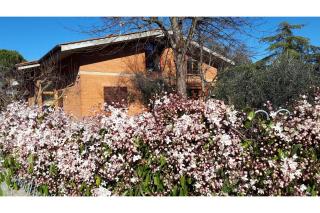 Family Friendly Villa Giulia with pool - Happy Rentals - Lucignano - 8