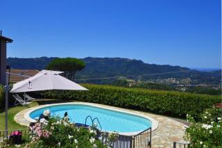 Alloro Grillo - Happy Rentals - Camaiore - 7