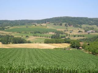 les collines - 1
