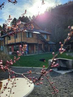 Hogar de Montaña - San Martín de los Andes - 6