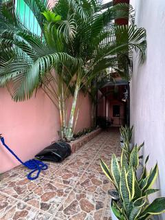 Apartamento Caribe Rosa - Puerto Limón - 3