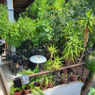 Hostel Varna Botanika - Varna - 7