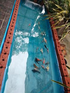 Elsewhere Bar & Resort - Rayong - 1