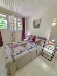 Ti lari La villa West Indies - Sainte-Luce - 2