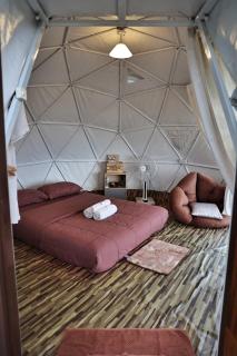 รสชาติฟาร์มสเตย์ - 4