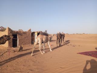 guest house - 1