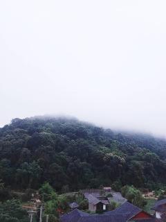 ม่อนหนาวSpecial room - 2