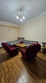 Mgzavrebi Premium Apartment 1-307 - Bakuriani - 5