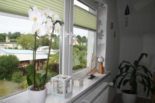 Ferienwohnung Maritim Ostseebad Rerik - Rerik - 5