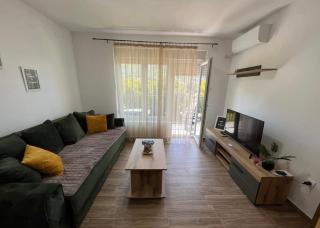 Apartmani Jovanovic 2 - Soko Banja - 1