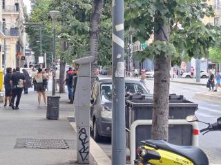 Au Méditerranéen - 1