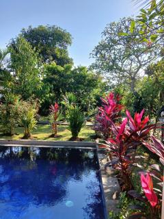 Puri Amartha - Ubud - 0