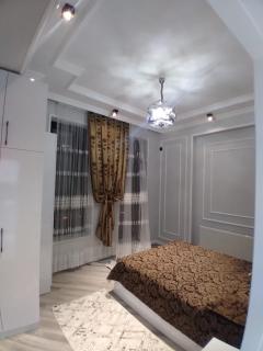 Luxury Apartment in Nakhchivan - 9