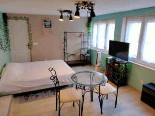 Chambre indépendante - Cusset - 4