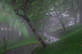 Haze and Kites Resort Munnar - 7