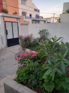 Alya House - Oualidia - 5