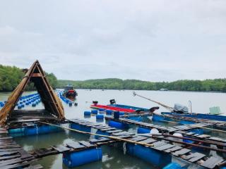 Cần Giờ Floating House - - 5