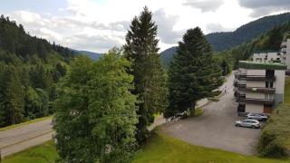 Le Belle-Hutte - La Bresse - 5