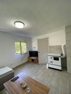 Holiday home Seoska idila - Šavnik - 1