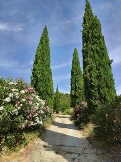 Maison Chemin d'Uzès - Blauzac - 7