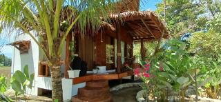 Tropical Jungle lodge & Jungle trekking - 3