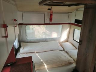 La Tanière de la Louve - 1