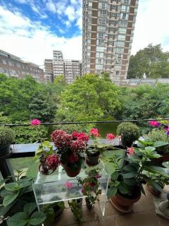 3 Bed 2 Bathroom Spacious Paddington - 1