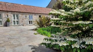 Luxury barn conversion - Wells - 3