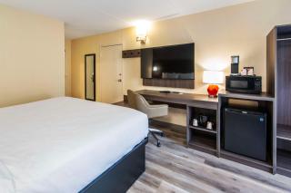 Quality Inn - Chatham - 4
