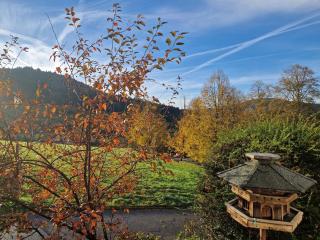 Villa Schwarzwaldblick - Seelbach - 1