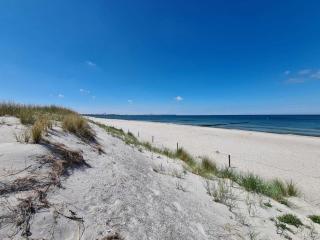 Finnhütten Markgrafenheide - Markgrafenheide - 1