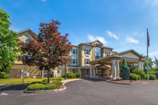 Comfort Inn & Suites - Hadley - 9