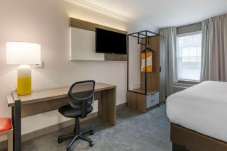 Comfort Inn & Suites - Hadley - 4