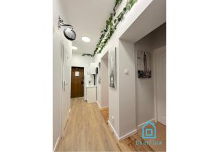 Pink lady Room - Danzig - 2