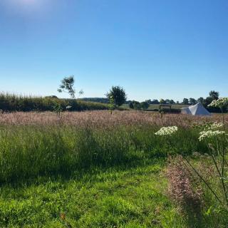 Broadleaves Luxury Glamping - Ticknall - 0