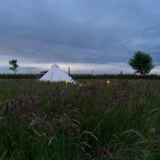 Broadleaves Luxury Glamping - Ticknall - 6
